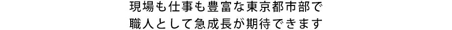 現場も仕事も豊富な東京都市部で職人として急成長が期待できます