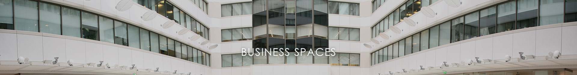 BUSINESS SPACES